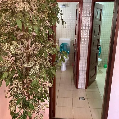 Ianis Bran Guest house Bran (Brasov)