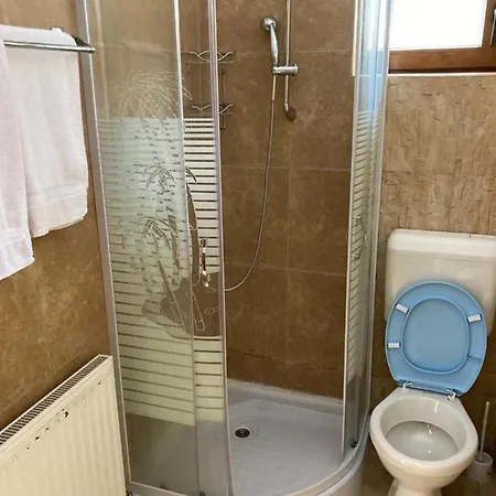 Ianis Bran Guest house