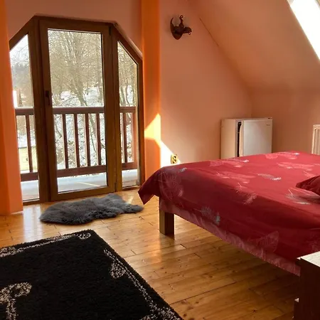 Guest house Ianis Bran *