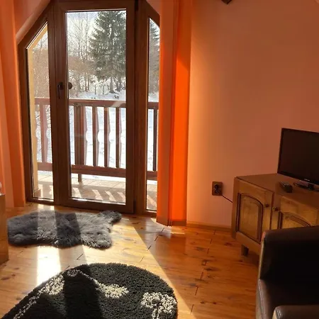 Ianis Bran Bran (Brasov)