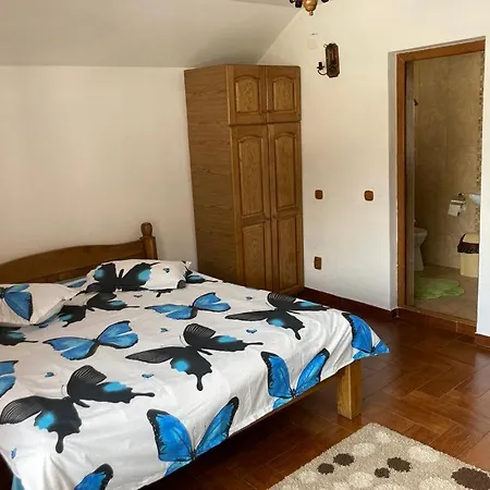 Guest house Ianis Bran