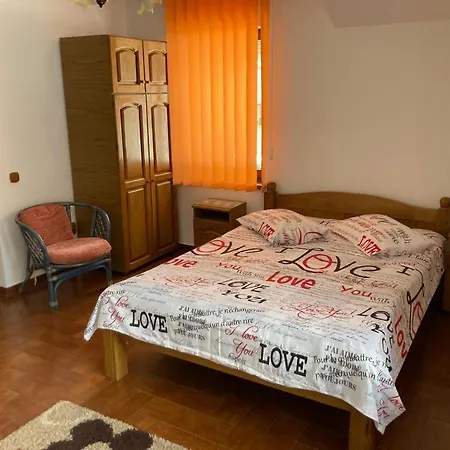 Guest house Ianis Bran *